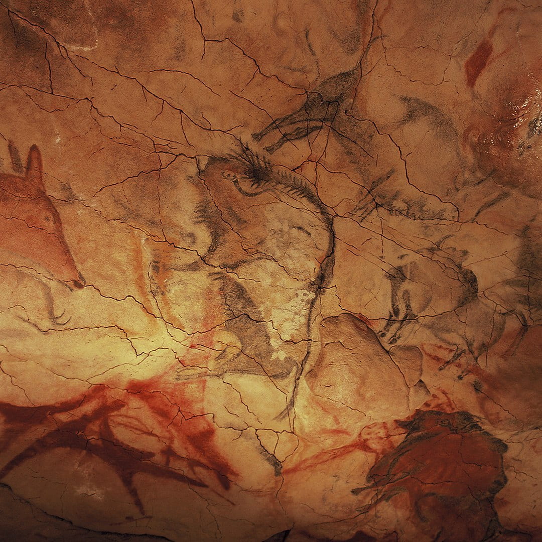 Animal paintings in Altamira Cave
