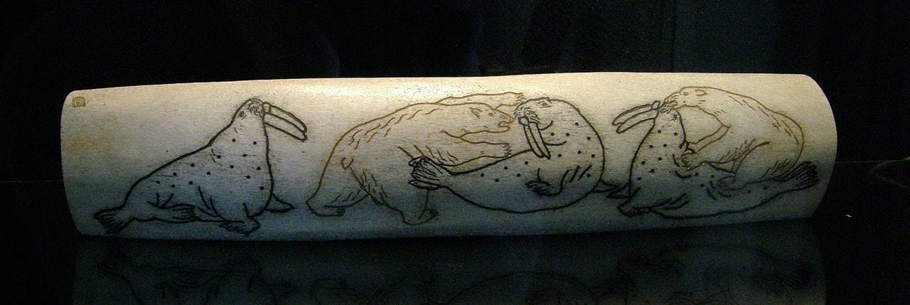 walrus tusk engraved with polar bear and walrus images