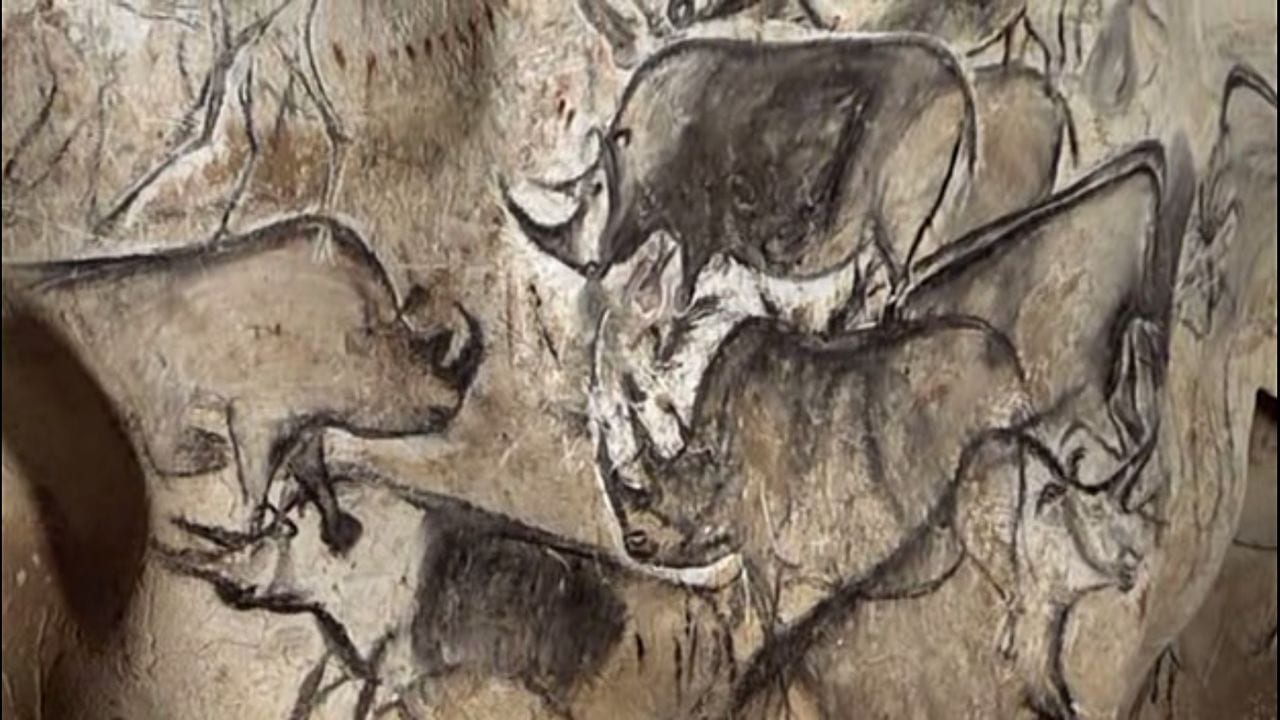 Rhino painting in Chauvet Cave
