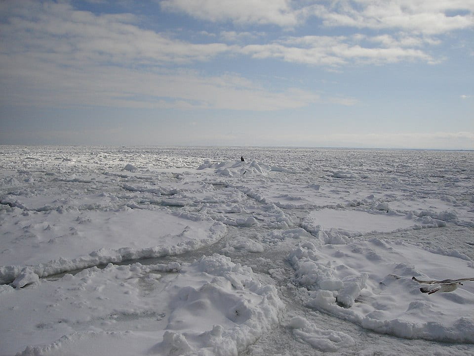 drift ice