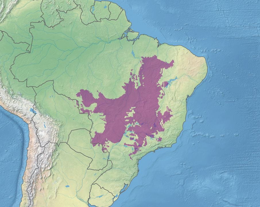 map of cerrado ecoregion in Mato Grosso