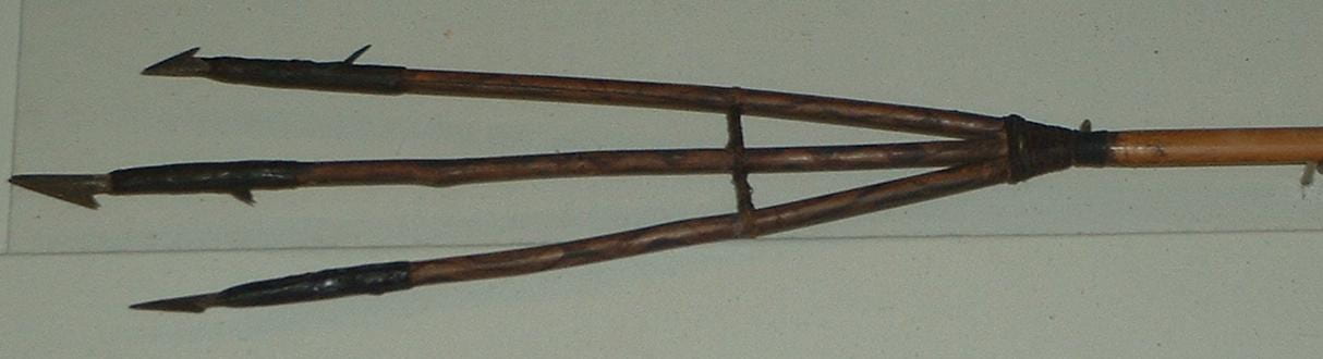 Guyana fishing arrow