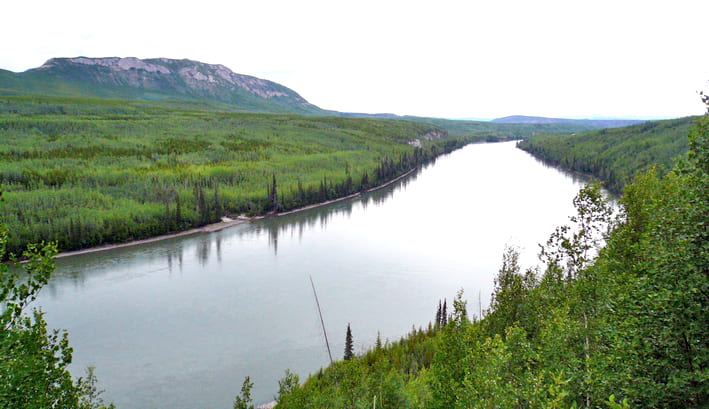 Liard River with forest