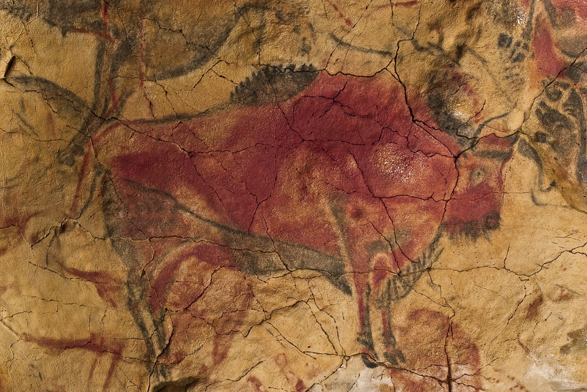 bison painting Alta Mira Cave