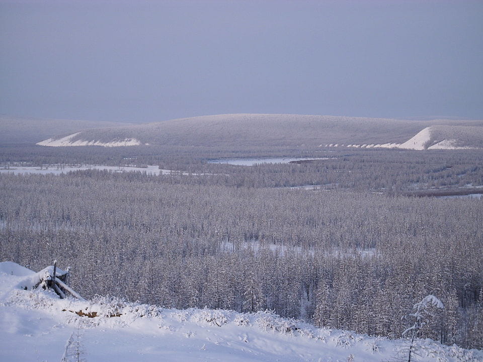 Russian taiga in winter