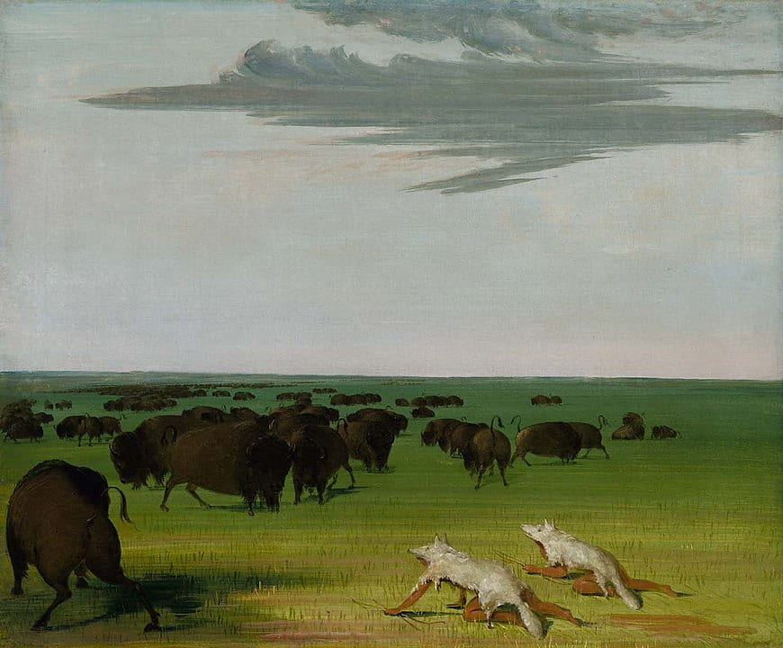 George Catlin painting of buffalo hunting under the wolf-skin mask