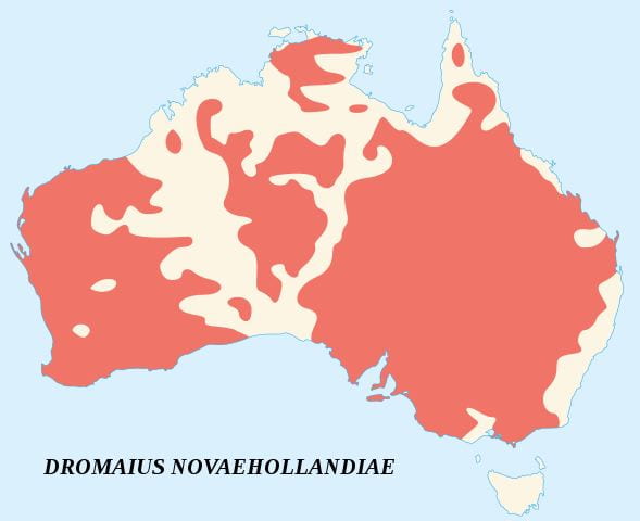 map of emu distribution across Australia
