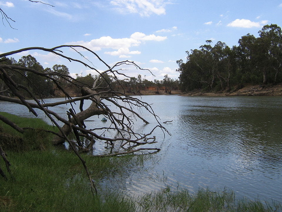 Murray River Australia