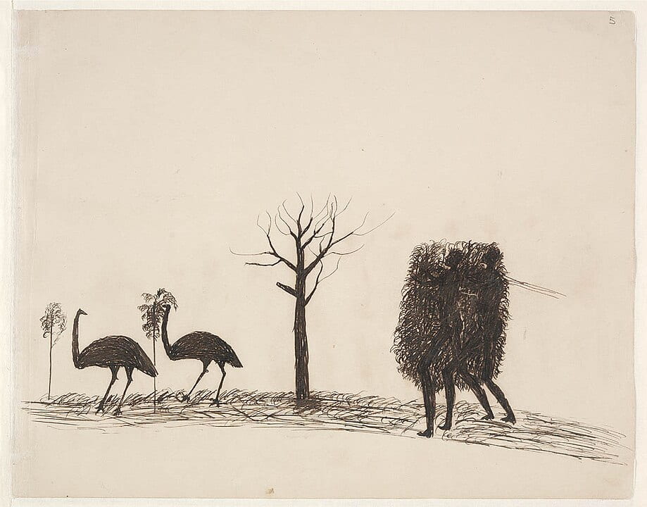 drawing of hunters using blind to stalk emus