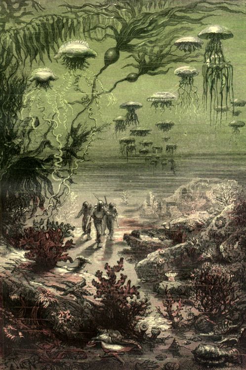illustration of Twenty Thousand Leagues Under the Sea